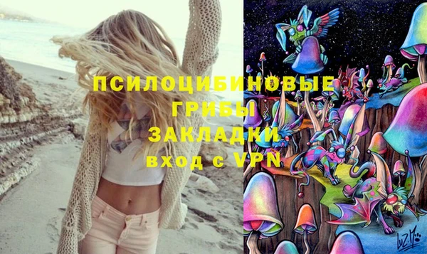 амф Абинск