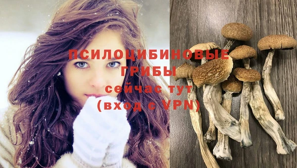 соль курить ск Абдулино