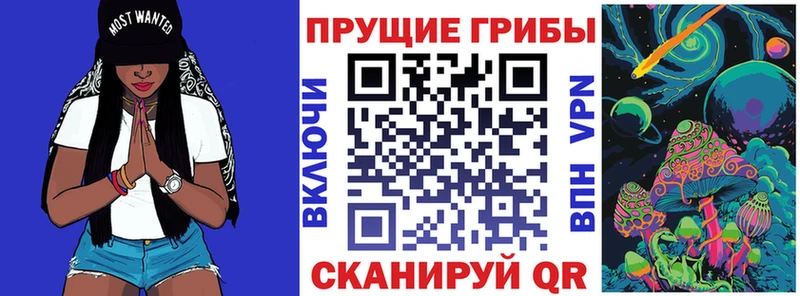 Галлюциногенные грибы Psilocybe  Костомукша 