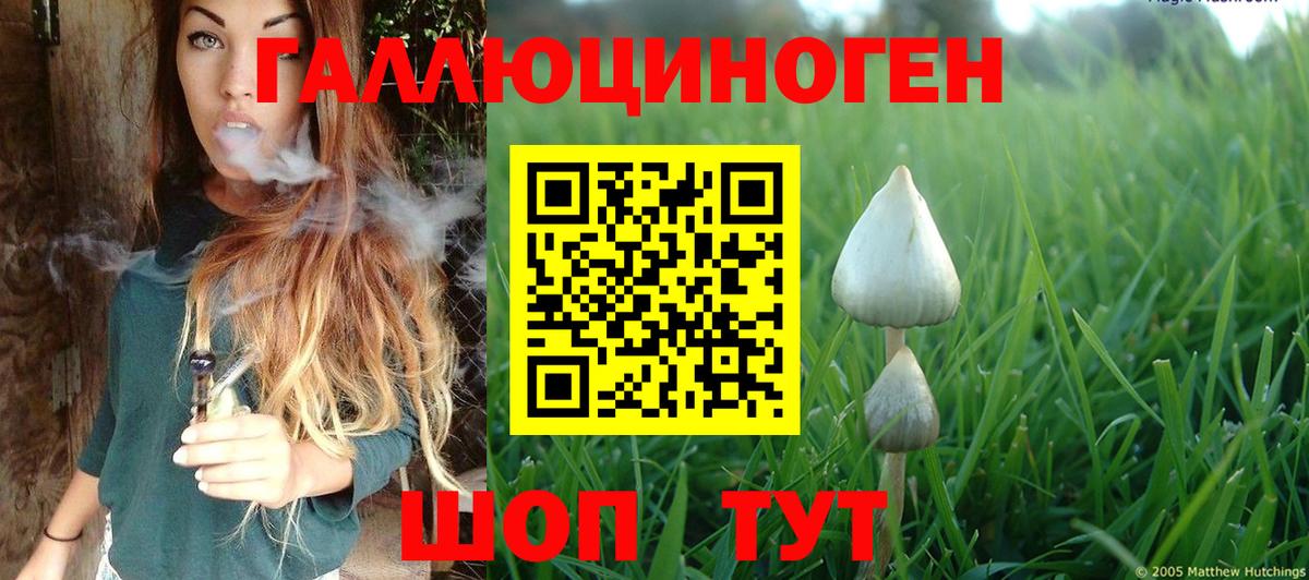 Псилоцибиновые грибы GOLDEN TEACHER  Вход с VPN  Костомукша  Галлюциногенные грибы Psilocybine cubensis 