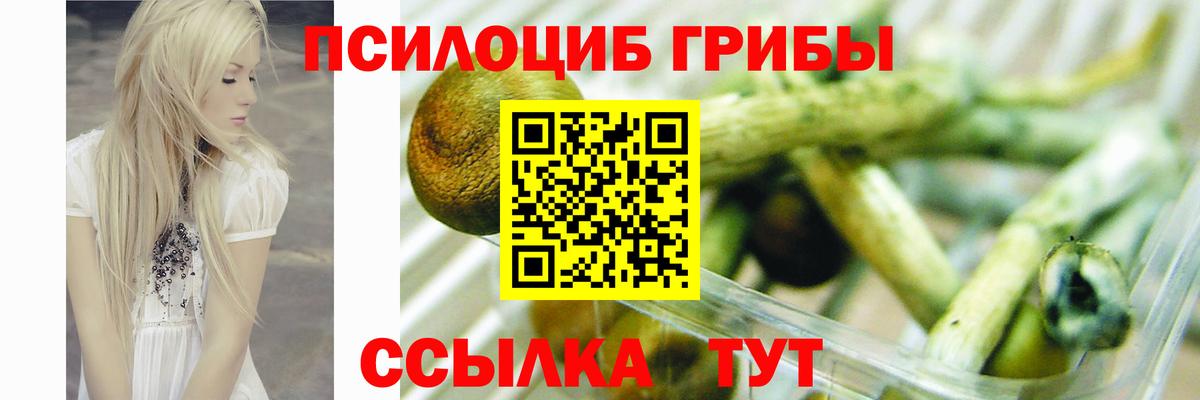 Галлюциногенные грибы Magic Shrooms Костомукша