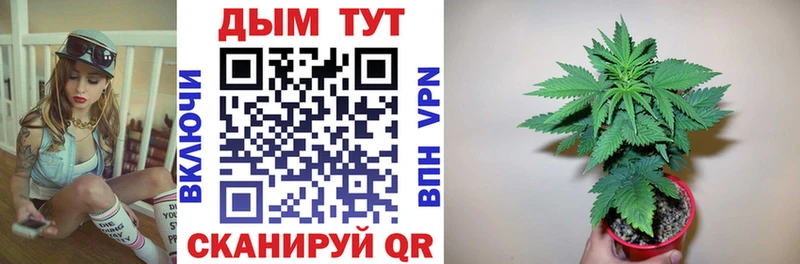 Бошки Шишки сатива  Костомукша 